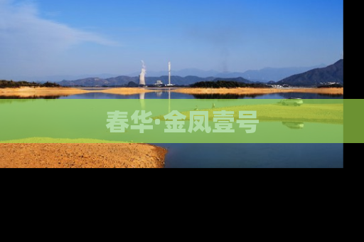 春华·金凤壹号