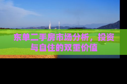 东单二手房市场分析，投资与自住的双重价值