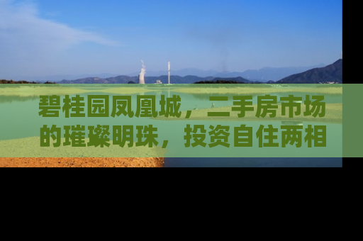 碧桂园凤凰城，二手房市场的璀璨明珠，投资自住两相宜