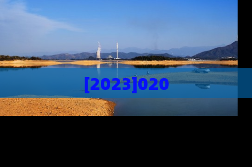 [2023]020