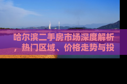 哈尔滨二手房市场深度解析，热门区域、价格走势与投资指南