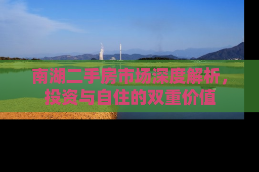 南湖二手房市场深度解析，投资与自住的双重价值