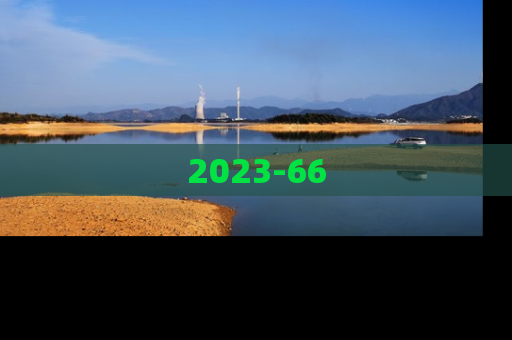 2023-66