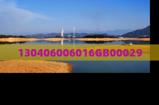 130406006016GB00029