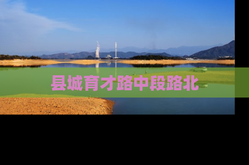 县城育才路中段路北