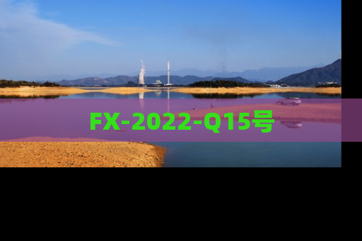 FX-2022-Q15号