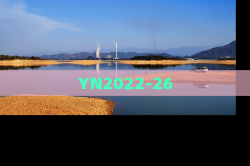 YN2022-26