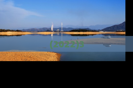 (2022)3