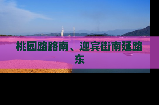 桃园路路南、迎宾街南延路东