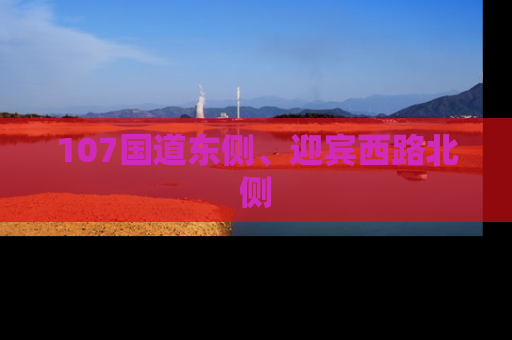 107国道东侧、迎宾西路北侧