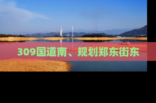 309国道南、规划郑东街东
