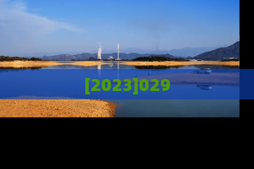 [2023]029