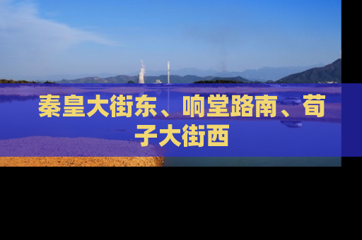 秦皇大街东、响堂路南、荀子大街西