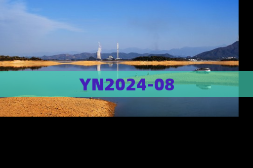 YN2024-08