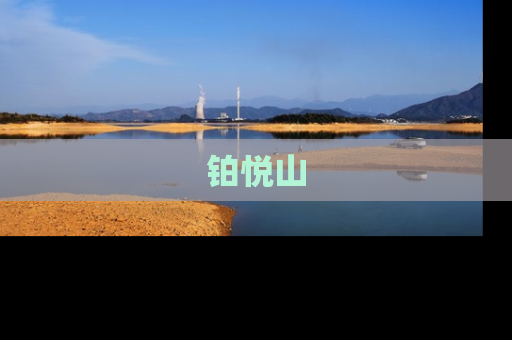 铂悦山