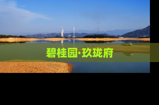 碧桂园·玖珑府