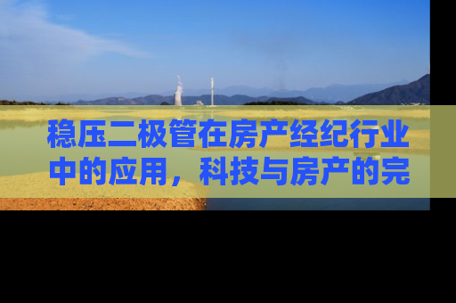 稳压二极管在房产经纪行业中的应用，科技与房产的完美融合