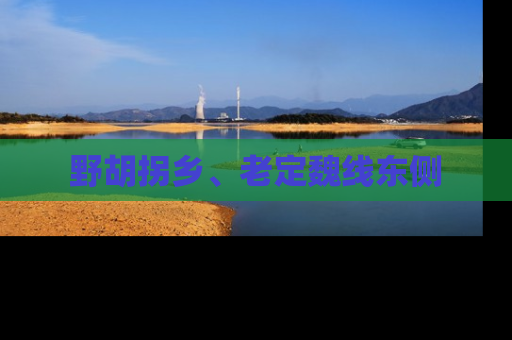 野胡拐乡、老定魏线东侧