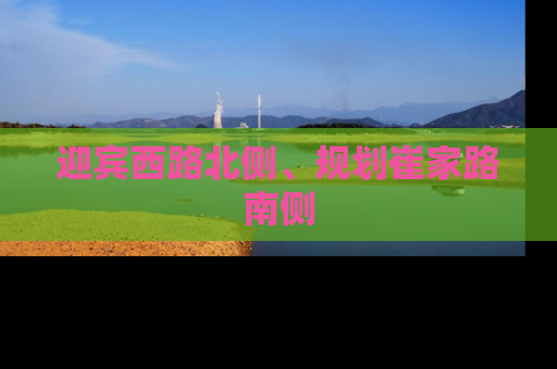 迎宾西路北侧、规划崔家路南侧