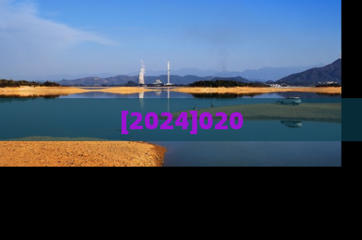 [2024]020