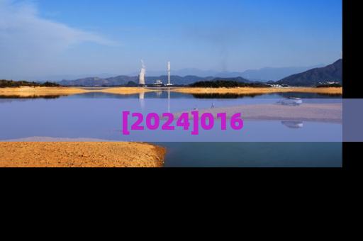[2024]016