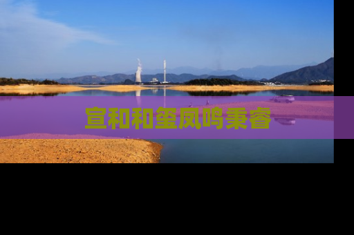 宣和和玺凤鸣秉睿