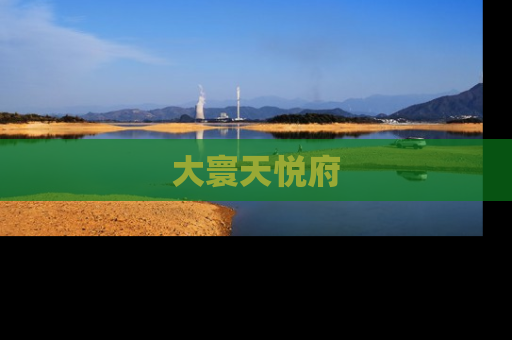 大寰天悦府