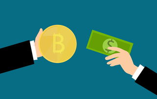 深圳二手房交易全攻略，从看房到过户，步步为营