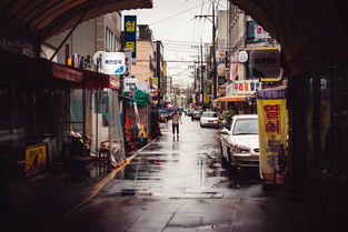 娄山关路88号，上海都市心脏的奢华居所