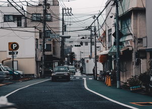娄山关路88号，上海都市心脏的奢华居所