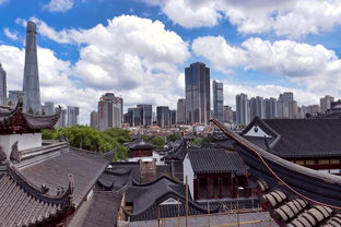 鹿邑房产网，揭秘鹿邑房地产市场的热点与趋势