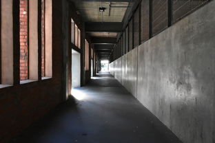 四川北路，上海的黄金走廊，房产投资的璀璨明珠