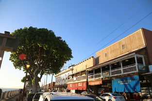 云城租房指南，如何在繁华都市中找到理想的家