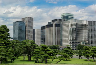 他她公馆，现代都市中的浪漫避风港