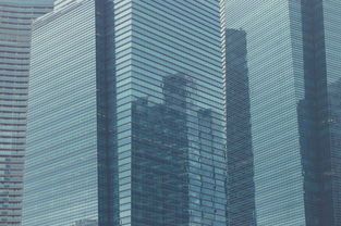 新黄浦酒店公寓，城市中心的奢华生活，投资自住两相宜
