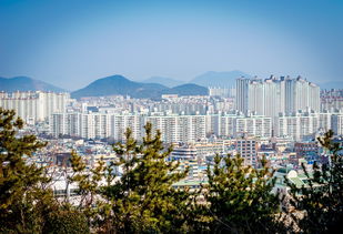 翠城花园，城市绿洲中的现代居住典范